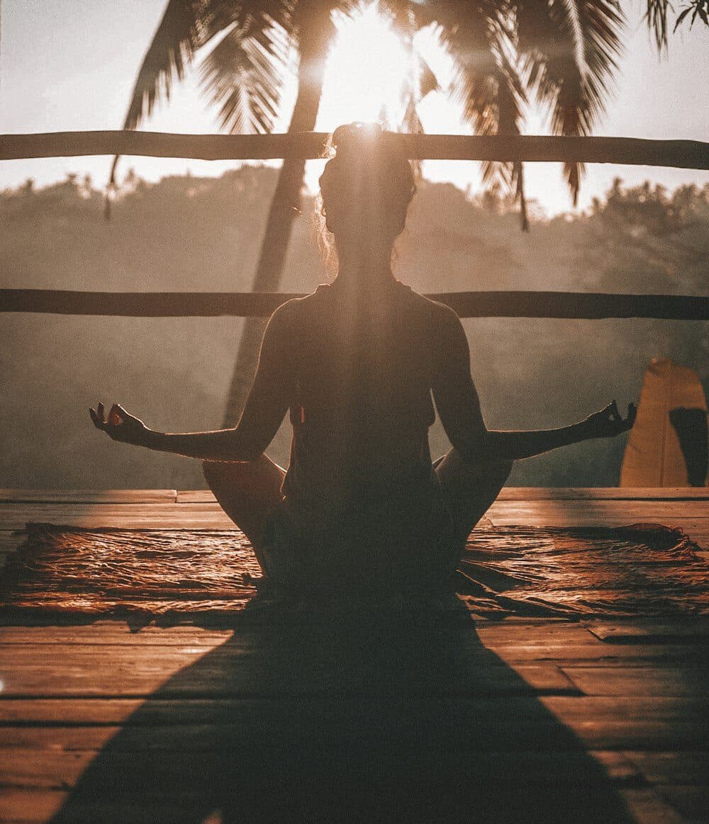 Ayurveda & Wellness Retreat